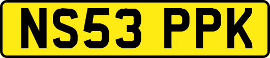 NS53PPK