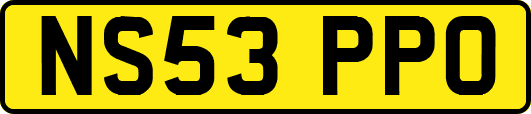 NS53PPO
