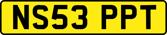 NS53PPT