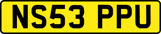 NS53PPU