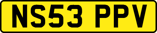 NS53PPV