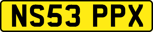 NS53PPX