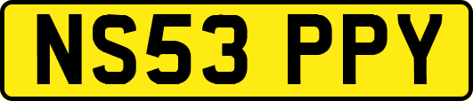 NS53PPY