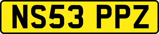 NS53PPZ