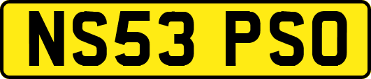 NS53PSO