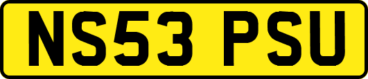NS53PSU