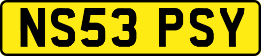 NS53PSY