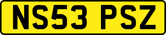 NS53PSZ
