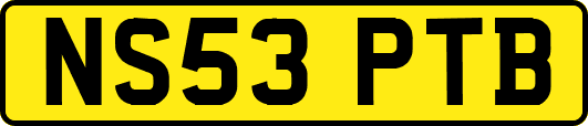NS53PTB