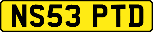 NS53PTD