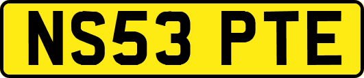 NS53PTE