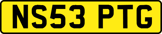 NS53PTG