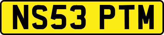 NS53PTM