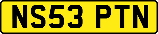 NS53PTN