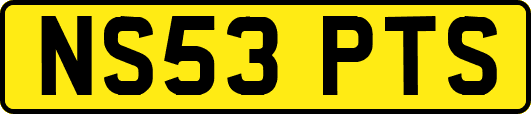 NS53PTS