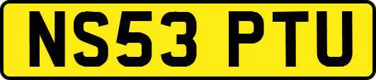 NS53PTU