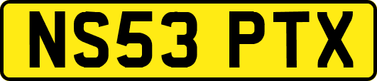 NS53PTX