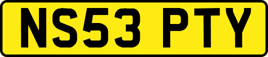 NS53PTY