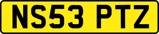 NS53PTZ