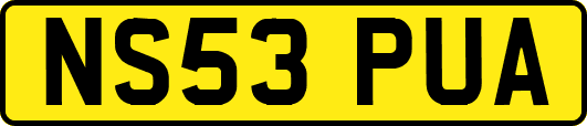 NS53PUA