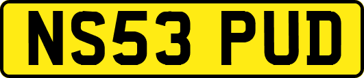 NS53PUD