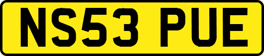 NS53PUE