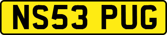 NS53PUG