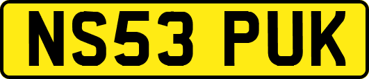 NS53PUK