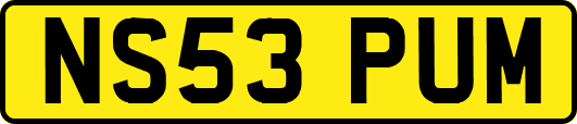 NS53PUM