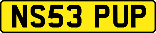 NS53PUP