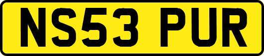 NS53PUR