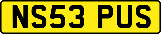 NS53PUS