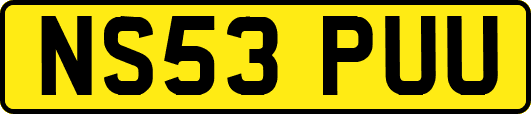 NS53PUU