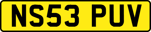NS53PUV