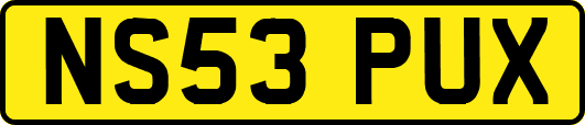 NS53PUX