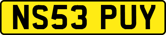 NS53PUY