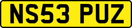 NS53PUZ