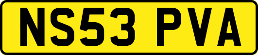 NS53PVA