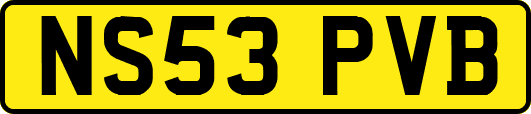 NS53PVB