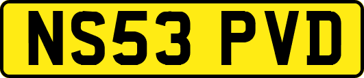 NS53PVD