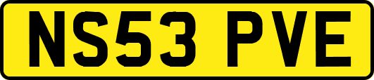 NS53PVE