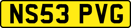 NS53PVG