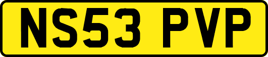 NS53PVP