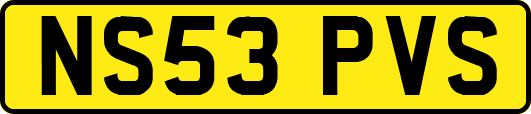 NS53PVS