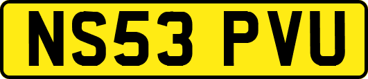 NS53PVU