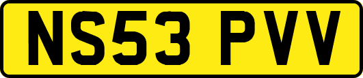 NS53PVV