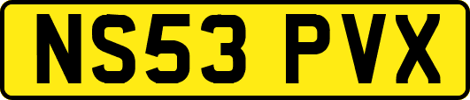 NS53PVX