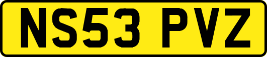 NS53PVZ