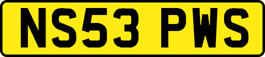 NS53PWS