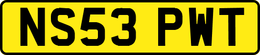 NS53PWT